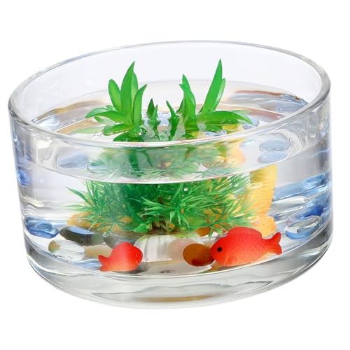 Toyvian Blumentopf Aus Glas Bewässerung Schüssel Anlage Hydroponik Fischtankdekoration Wasserlily Bowl Terrarien Tief Behälter Pflanzerschale Schale Für Pflanzen Fischaquarium Transparent von Toyvian