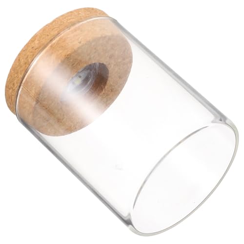 Toyvian Borosilikatglas Ökologische Pflanzflasche mit LED licht Mini DIY Landschafts aquarium Glasflasche für Tischdekoration und Kreative Pflanzgestaltung Glatte Oberfläche Einfach zu Toyvian Borosilikatglas Ökologische Pflanzflasche mit LED licht Mini DIY Landschafts aquarium Glasflasche für Tischdekoration und Kreative Pflanzgestaltung Glatte Oberfläche Einfach zu von Toyvian