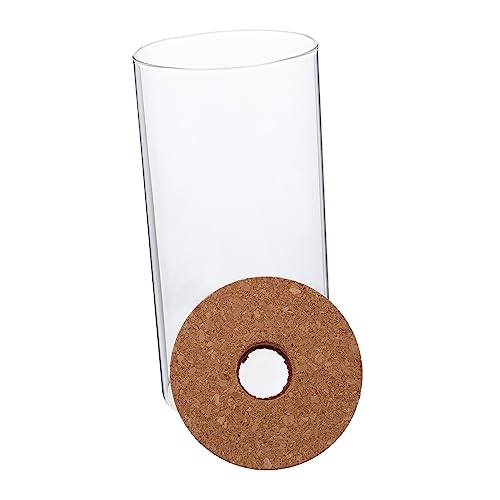 Toyvian Borosilikatglas Ökologischer Flasche Dekoratives Glasgefäß Luftdichte Dose Aus Glas Glaskanister Glas Terrarium Bowl Pflanzgefäß Glasbehältertöpfe Transparent Toyvian Borosilikatglas Ökologischer Flasche Dekoratives Glasgefäß Luftdichte Dose Aus Glas Glaskanister Glas Terrarium Bowl Pflanzgefäß Glasbehältertöpfe Transparent von Toyvian