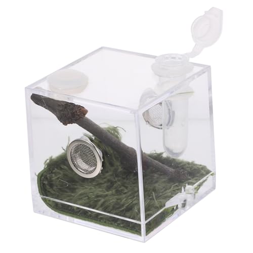 Toyvian Box Springspinnen Zuchtbox Vogelspinnenträger Springspinnen Terrarium Lebensraumgehäuse Spinnenfütterung Terrarium Vogelspinnengehege Springgehäuse Reptilienbehälter Acryl von Toyvian