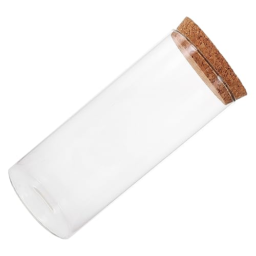 Toyvian Brucea vase Moos für Pflanzen dekorativer Mikro-Landschaftsbehälter ökologische Mikrolandschaftsflasche einmachgläser Hydroponischer Pflanzer Glasblumentopf Pflanzen Flasche Kork von Toyvian
