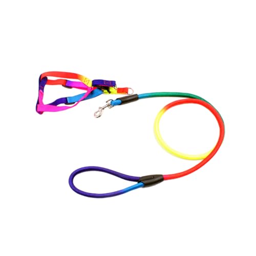 Toyvian Bunte Hundeleine mit Verstellbarem Brustgeschirr aus Langlebigem Nylon Kleine Modisch und Bequem für Hunde Geeignet als und Trainingsleine Toyvian Bunte Hundeleine mit Verstellbarem Brustgeschirr aus Langlebigem Nylon Kleine Modisch und Bequem für Hunde Geeignet als und Trainingsleine von Toyvian