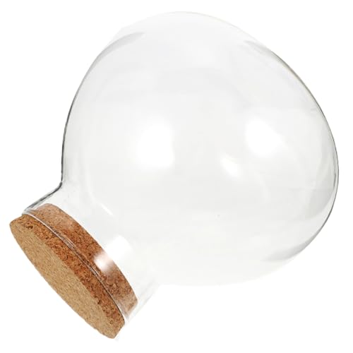 Toyvian DIY Mikrolandschaft Glasflasche mit Korken Runde Ökologische Flasche für Sukkulenten und Luftpflanzen Wiederverwendbarer DIY Flaschengarten Dekoratives Terrarium ohne Licht von Toyvian