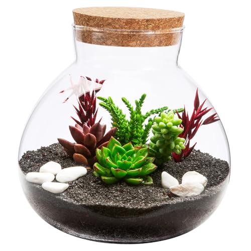 Toyvian Dekorative Mikrolandschaft Glasflasche mit Korkverschluss DIY Pflanzenarrangements und Wohnraumdekoration Vielseitig Einsetzbar Jedem Toyvian Dekorative Mikrolandschaft Glasflasche mit Korkverschluss DIY Pflanzenarrangements und Wohnraumdekoration Vielseitig Einsetzbar Jedem von Toyvian