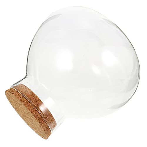 Toyvian Eco-Flasche Moos Mikro-Landschaftsflasche kleine Gläser mit Korkdeckel Terrarium Korkgläser Terrarienglas Mini-Korkflaschen Minidosen mit Deckel Mini-Trankflaschen mit Korken Toyvian Eco-Flasche Moos Mikro-Landschaftsflasche kleine Gläser mit Korkdeckel Terrarium Korkgläser Terrarienglas Mini-Korkflaschen Minidosen mit Deckel Mini-Trankflaschen mit Korken von Toyvian