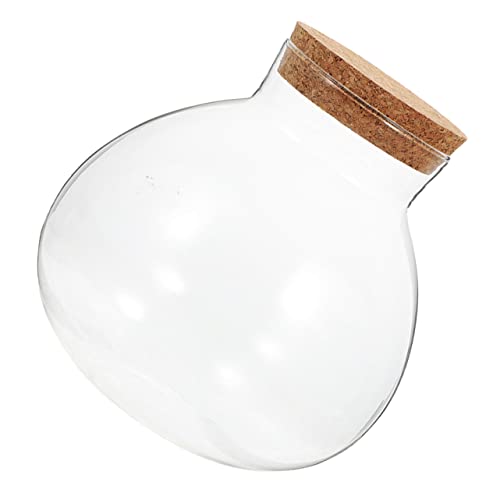 Toyvian Eco-Flasche Moos Terrarium Gläser Mikro-Landschaftsflasche winziges Glas Mini-Korkflaschen Wiederverwendbare Miniflaschen Glasgefäß mit Korkdeckel Pflanzterrarien Korkdose Toyvian Eco-Flasche Moos Terrarium Gläser Mikro-Landschaftsflasche winziges Glas Mini-Korkflaschen Wiederverwendbare Miniflaschen Glasgefäß mit Korkdeckel Pflanzterrarien Korkdose von Toyvian