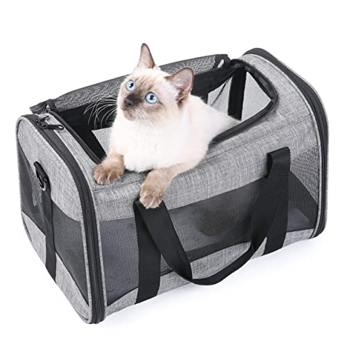 Toyvian Faltbare Outdoor Haustiertasche für Kleine Haustiere Atmungsaktive Tragetasche für Katzen Praktische Reisetasche Tragbar und Langlebig für Ausflüge und Reisen Toyvian Faltbare Outdoor Haustiertasche für Kleine Haustiere Atmungsaktive Tragetasche für Katzen Praktische Reisetasche Tragbar und Langlebig für Ausflüge und Reisen von Toyvian