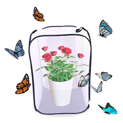 Toyvian Faltbarer Insektenkäfig Leichtes Langlebiges Netz für Outdoor Naturerkundung Schmetterlingszucht Transparenter Schutzkäfig für Raupen und Kleine Tiere Toyvian Faltbarer Insektenkäfig Leichtes Langlebiges Netz für Outdoor Naturerkundung Schmetterlingszucht Transparenter Schutzkäfig für Raupen und Kleine Tiere von Toyvian