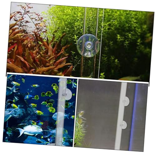 Toyvian Futterschlauch Aquarium Fütterungssäule aus Transparentem mit Futterring Installieren Präzises Absinken von Futter für Garnelen und Zierfische im Becken Fischfreundlich und von Toyvian