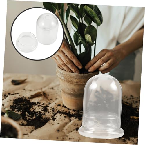 Toyvian Glas Terrarium Vase Klein Transparent Glas Pflanzgefäß Klare Display Kuppel Dekorativ für Moos DIY Micro Landschaft Wohnzimmer Balkon Garten Büro von Toyvian
