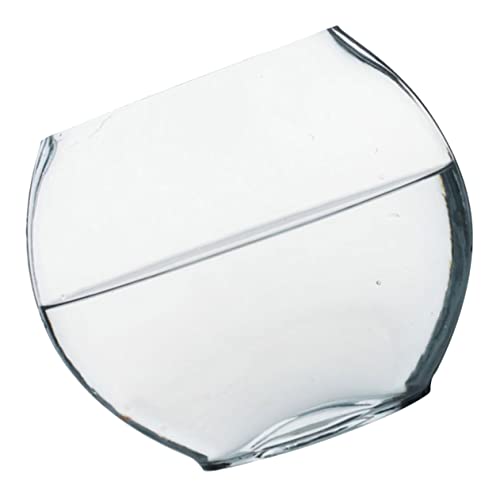 Toyvian Glasflasche Terrarium für Landschaft Transparente Deko Vase für Pflanzen und Moos für Innen und Außendekoration Toyvian Glasflasche Terrarium für Landschaft Transparente Deko Vase für Pflanzen und Moos für Innen und Außendekoration von Toyvian