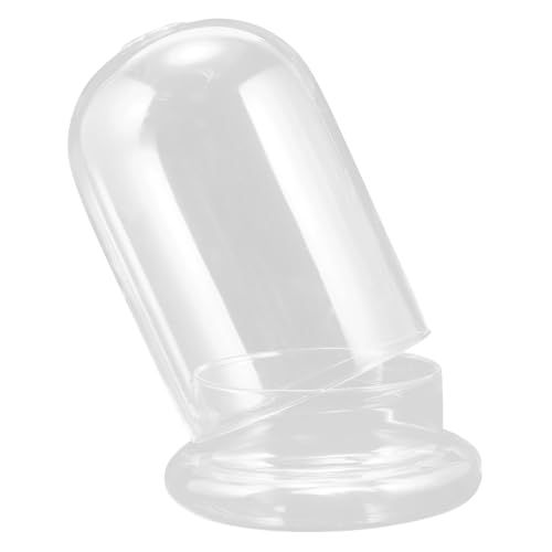 Toyvian Glaskuppel mit Holzsockel Transparente Glasglocke mit Loch Dekorative Cloche Dome für DIY Tischdekoration Langlebig und Bruchsicher Toyvian Glaskuppel mit Holzsockel Transparente Glasglocke mit Loch Dekorative Cloche Dome für DIY Tischdekoration Langlebig und Bruchsicher von Toyvian