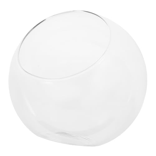 Toyvian Glasterrarium Mit Schräger Öffnung Dekorative Vase Für Sukkulenten Und Luftpflanzen Klarer Glasbehälter Für Mikrolandschaft Geeignet Für Zuhause Und Büro von Toyvian