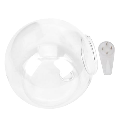 Toyvian Hängender Glas-übertopf Für Wasserpflanzen Transparente Hängevase Zum Beobachten Von DIY-mikrolandschaften Pflanzendekoration Für Wohnraum Toyvian Hängender Glas-übertopf Für Wasserpflanzen Transparente Hängevase Zum Beobachten Von DIY-mikrolandschaften Pflanzendekoration Für Wohnraum von Toyvian