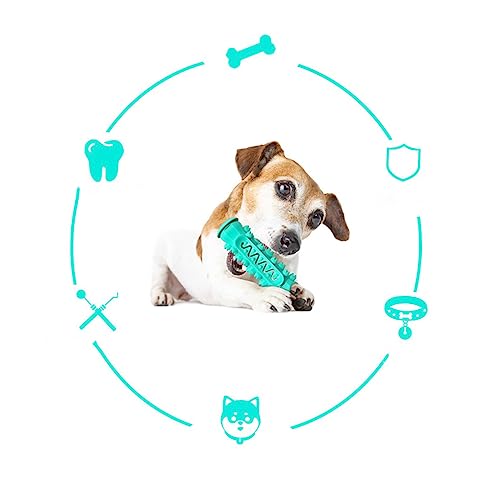Toyvian Haltbarer Hundekauknochen aus Lebensmittelechtem TPR Robustes Molaren Kauspielzeug zur Zahnpflege Geeignet für Große Hunde Verhindert Möbelbeschädigung Spielerisch mit Futter Toyvian Haltbarer Hundekauknochen aus Lebensmittelechtem TPR Robustes Molaren Kauspielzeug zur Zahnpflege Geeignet für Große Hunde Verhindert Möbelbeschädigung Spielerisch mit Futter von Toyvian