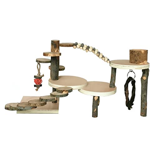 Toyvian Hamster-kletterleiter Haustier Hamster Kletterleiter Drinnen Klettern Leiter Aus Rattenholz Mäuseleiter Holzleiter Rennmäuse Vogelleiter Kletterleiter Apfelholz von Toyvian