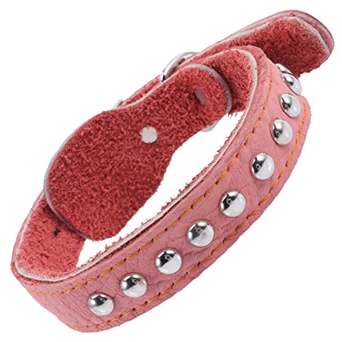 Toyvian Haustierhalsband pet Supplies Kitten Dog Collars weibliches hundehalsband dekoratives Hundehalsband Partyhalsband für Hunde Hundehalsbänder für mittelgroße Hunde Toyvian Haustierhalsband pet Supplies Kitten Dog Collars weibliches hundehalsband dekoratives Hundehalsband Partyhalsband für Hunde Hundehalsbänder für mittelgroße Hunde von Toyvian
