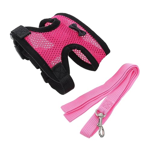 Toyvian Hühnermantel mit Leine Einstellbares Hühnergurt für Hühner und Atmungsaktives Nylonmaterial für und Veranstaltungen Toyvian Hühnermantel mit Leine Einstellbares Hühnergurt für Hühner und Atmungsaktives Nylonmaterial für und Veranstaltungen von Toyvian