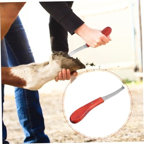 Toyvian Hufmesser aus Rostfreiem Edelstahl Ergonomischer Griff Leichtes Tragbares Pferdehuf trimmwerkzeug zur Hufreparatur und Pflege Stabiles Langlebiges Hufmesser für Rechtshänder im von Toyvian