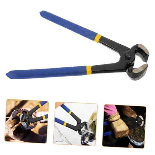 Toyvian Hufpflegezange Hufschmied liefert Nagelzange für Pferde Beschlag Drahtnipper schwer Werkzeug zur Hufreparatur Pferdehufschere Hufpfleger für Pferde Metall Blue Toyvian Hufpflegezange Hufschmied liefert Nagelzange für Pferde Beschlag Drahtnipper schwer Werkzeug zur Hufreparatur Pferdehufschere Hufpfleger für Pferde Metall Blue von Toyvian