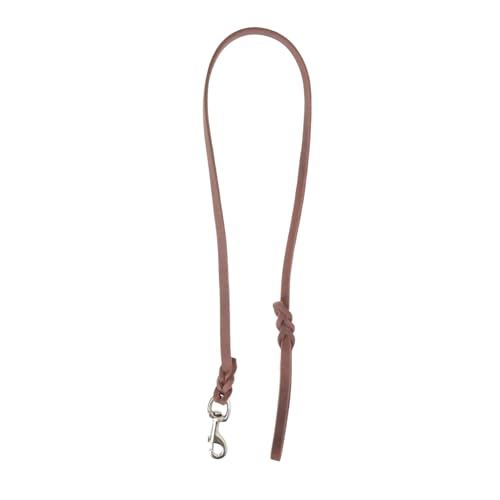 Toyvian Hundeleine Führen Gehen Hund Kabel Binden Groß Hundeseil Leinentraining Für Hunde Geschirr Welpe Traktion Schwer Leine Wandeln Laufleine Für Haustiere Brown Eisen von Toyvian