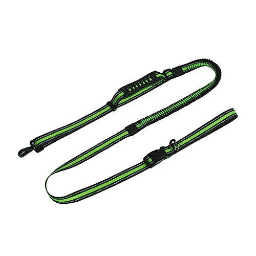 Toyvian Hundeleine für Training Reflektierendes Nylon Verstellbarer Jogging Gürtel für Sicheres und Freihändiges Gassigehen für Outdoor Aktivitäten mit Hunden Fluoreszierendes Toyvian Hundeleine für Training Reflektierendes Nylon Verstellbarer Jogging Gürtel für Sicheres und Freihändiges Gassigehen für Outdoor Aktivitäten mit Hunden Fluoreszierendes von Toyvian