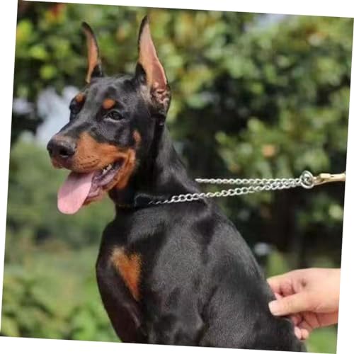 Toyvian Hunderohr Streckhilfe Sicherer Ohrenstütz Aufkleber zur Korrektur Klebefrei Langlebig und Einfach Anzuwenden für Welpen und Hunde Verbessert Ohrhaltung und Aussehen von Toyvian