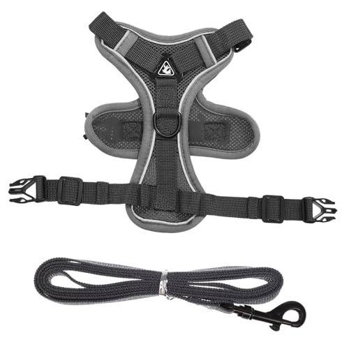Toyvian Hundewestengeschirr Für Kleine Und Katzen Atmungsaktive Und Reflektierende Haustierweste Mit Leine Verstellbare Schnalle Für Sicheren Toyvian Hundewestengeschirr Für Kleine Und Katzen Atmungsaktive Und Reflektierende Haustierweste Mit Leine Verstellbare Schnalle Für Sicheren von Toyvian