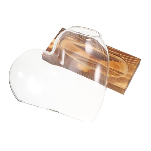 Toyvian Hydroponische Vase Vermehrungsgefäße Vermehrungsstand Fensterausbreitungsstationen Desktop-vermehrungsstation Vase Mit Holzsockel Pflanzenterrarium Terrarienschale Glas Transparent von Toyvian