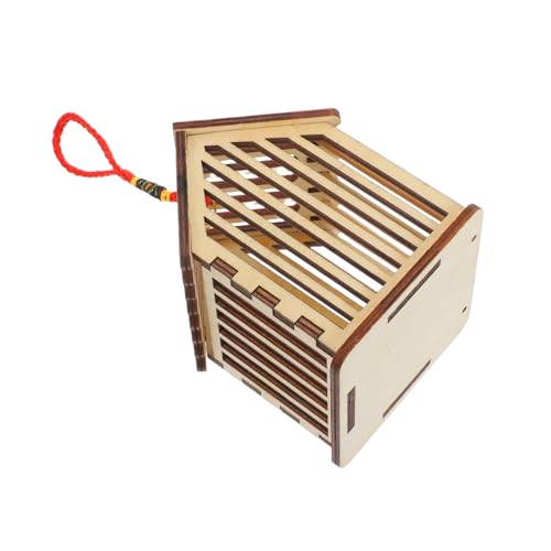 Toyvian Käfig Zum Aufhängen Reptilienhaus Insekten Und Schmetterlingshabitat Grillenhalter Für Lebende Grillen Grillenkäfig Insektenvitrine Reptilienfutterspender Hängender von Toyvian