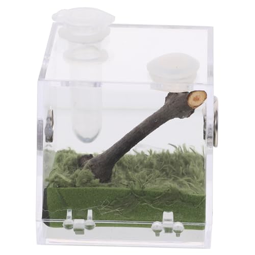 Toyvian Kasten Reptilien Zuchtbehälter acrylbehälter glasgefäß Haustierzuchtbox Spinnen Behälter Acrylbox Springspinnen-Terrarium Lebensraum Fall luftbefeuchter Container Lebensraum Käfig von Toyvian