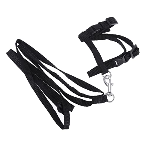 Toyvian Katzen Geschirr mit Verstellbarem Nylon Traktionsseil Leichtes Sicheres Katzengeschirr für Kätzchen Bequemes Haustiergeschirr für und Indoor Erkundungen Schwarz Toyvian Katzen Geschirr mit Verstellbarem Nylon Traktionsseil Leichtes Sicheres Katzengeschirr für Kätzchen Bequemes Haustiergeschirr für und Indoor Erkundungen Schwarz von Toyvian