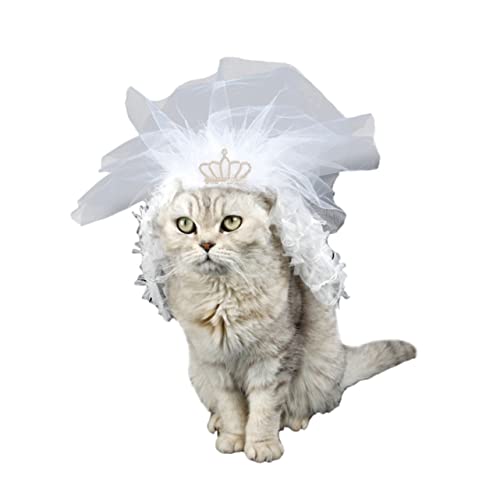 Toyvian Katzen Hochzeitskleid für Haustiere Laceverziertes Brautkleid für Katzen und Kätzchen mit Krone für Hochzeiten und Tägliches Tragen Langlebig und Bequem Toyvian Katzen Hochzeitskleid für Haustiere Laceverziertes Brautkleid für Katzen und Kätzchen mit Krone für Hochzeiten und Tägliches Tragen Langlebig und Bequem von Toyvian