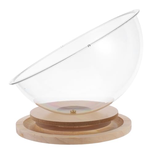 Toyvian Katzenhaus aus Holz für Katzenbett und Transparentes Design Multifunktional für Drinnen Stabiler Geeignet für Kleine und Große Katzen Ganzjährig Nutzbar Toyvian Katzenhaus aus Holz für Katzenbett und Transparentes Design Multifunktional für Drinnen Stabiler Geeignet für Kleine und Große Katzen Ganzjährig Nutzbar von Toyvian