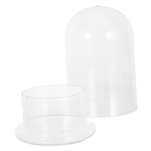 Toyvian Klare Glas-Terrarium Vase DIY Pflanzen-ökosystem Flaschengarten für Moos Desktop Dekoratives Mini-landschaftsgefäß für Zimmerpflanzen und Kleine Räume von Toyvian