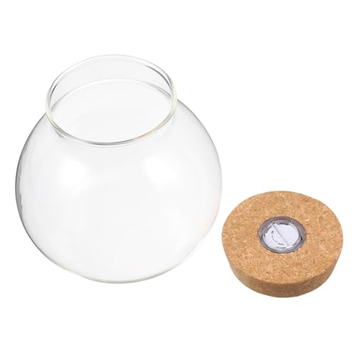 Toyvian Klares Glas-Terrarium mit Led-Beleuchtung Runde Hydroponik-pflanzenvase mit Dicht Schließendem Korkdeckel für Desktop-mikrolandschaften Zimmerpflanzen und Dekoration Toyvian Klares Glas-Terrarium mit Led-Beleuchtung Runde Hydroponik-pflanzenvase mit Dicht Schließendem Korkdeckel für Desktop-mikrolandschaften Zimmerpflanzen und Dekoration von Toyvian