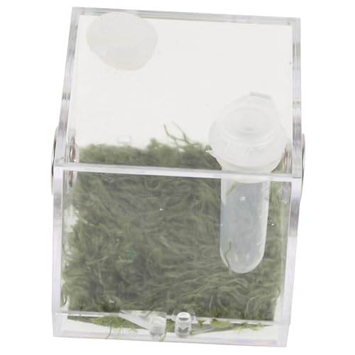Toyvian Klares Spinnenaufzuchtbecken für Kleine Springspinnen Stabiles Leichtes Insektenhabitat Terrarium für Reptilien und Spinnen mit Transparentem Futter und Beobachtungsbereich Toyvian Klares Spinnenaufzuchtbecken für Kleine Springspinnen Stabiles Leichtes Insektenhabitat Terrarium für Reptilien und Spinnen mit Transparentem Futter und Beobachtungsbereich von Toyvian