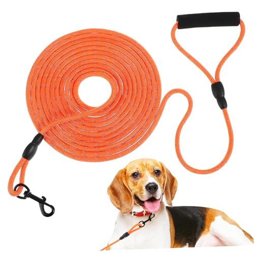 Toyvian Kleine Hundeleine Verstellbare Und Sichere Nylon Hundeleine Reflektierende Lange Leine Für Welpen Und Ergonomischer Vielseitig Für Training Toyvian Kleine Hundeleine Verstellbare Und Sichere Nylon Hundeleine Reflektierende Lange Leine Für Welpen Und Ergonomischer Vielseitig Für Training von Toyvian