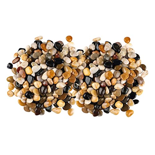 Toyvian Kopfsteinpflastersteine Dekorationsfelsen Bunte Kieselsteine Kleine Aquariumkiesel Kleiner Aquariumkies Aquariumdekor Dekorativer Aquariumkies Kieselsteine Für Pflanzen Toyvian Kopfsteinpflastersteine Dekorationsfelsen Bunte Kieselsteine Kleine Aquariumkiesel Kleiner Aquariumkies Aquariumdekor Dekorativer Aquariumkies Kieselsteine Für Pflanzen von Toyvian