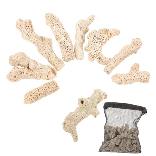 Toyvian Korallenknochensand Aquariumfiltermedium Natürliches Langlebiges Filtermaterial mit Hoher Wasserdurchlässigkeit für Sauberes Wasser und Verbesserte Sauerstoffsolubität Geeignet für Toyvian Korallenknochensand Aquariumfiltermedium Natürliches Langlebiges Filtermaterial mit Hoher Wasserdurchlässigkeit für Sauberes Wasser und Verbesserte Sauerstoffsolubität Geeignet für von Toyvian