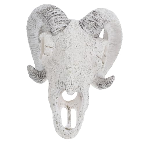 Toyvian Künstliche Tier Schädel Statue Aquarium Dekoration für Fische und Reptilien Versteck für Terrarium und Aquarium Halloween für Haustierumgebungen Toyvian Künstliche Tier Schädel Statue Aquarium Dekoration für Fische und Reptilien Versteck für Terrarium und Aquarium Halloween für Haustierumgebungen von Toyvian