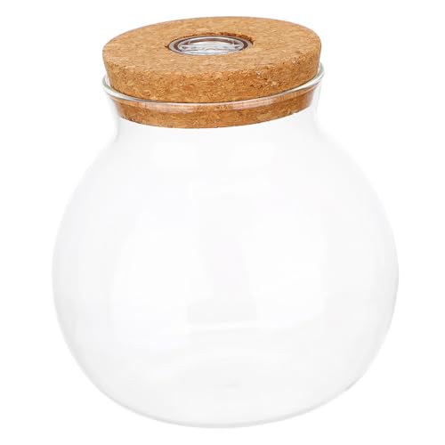 Toyvian LED Glasflasche mit Dekorativem Licht Borosilikat für Micro Landschaften DIY Terrarium mit LED Beleuchtung und Korkdeckel Kreatives Ökosystem für Pflanzen von Toyvian