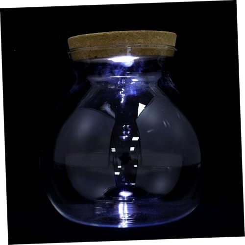 Toyvian LED Glasflasche mit LED Licht Zylindrisches Dekoratives Pflanzgefäß Transparentes Terrarium für DIY Mikrolandschaften Vielseitig als Aquarium oder Deko für Wohnzimmer und Bad von Toyvian