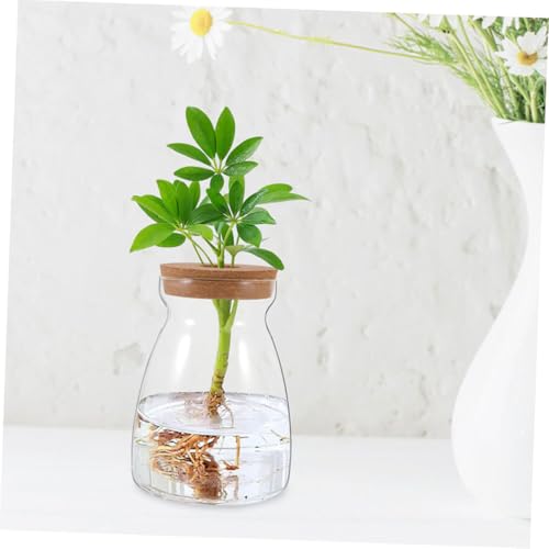 Toyvian Micro Landscape Glas flaschengarten mit Korkverschluss Rundes Terrarium für Hydroponik Pflanzen Vielseitige Dekoration für Büro und Zuhause Feine Verarbeitung Multifunktional für Toyvian Micro Landscape Glas flaschengarten mit Korkverschluss Rundes Terrarium für Hydroponik Pflanzen Vielseitige Dekoration für Büro und Zuhause Feine Verarbeitung Multifunktional für von Toyvian