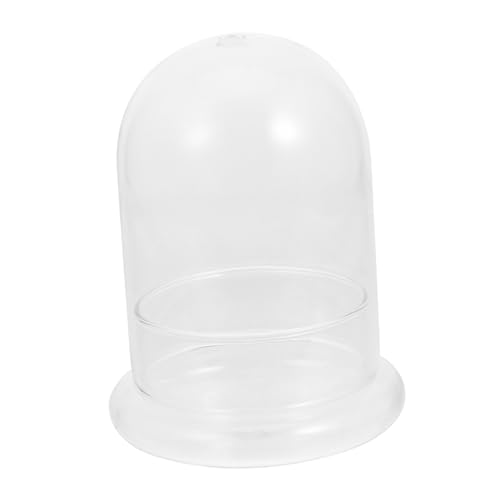 Toyvian Micro Landscape Glasflasche mit Terrarium Glasflasche für Moos und Pflanzenlandschaft DIY Ökologische Pflanzenglocke für Zuhause Balkon Büro Dekoration von Toyvian