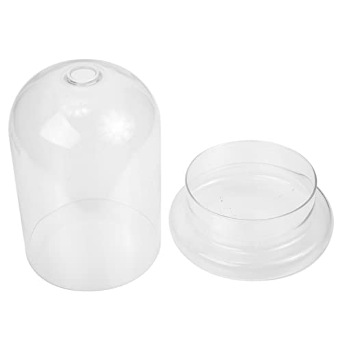 Toyvian Micro Landschafts Glasflasche DIY Terrarium für Moos mit Öffnung Vielseitiger Deko Behälter für Schlafzimmer und Badezimmer Toyvian Micro Landschafts Glasflasche DIY Terrarium für Moos mit Öffnung Vielseitiger Deko Behälter für Schlafzimmer und Badezimmer von Toyvian