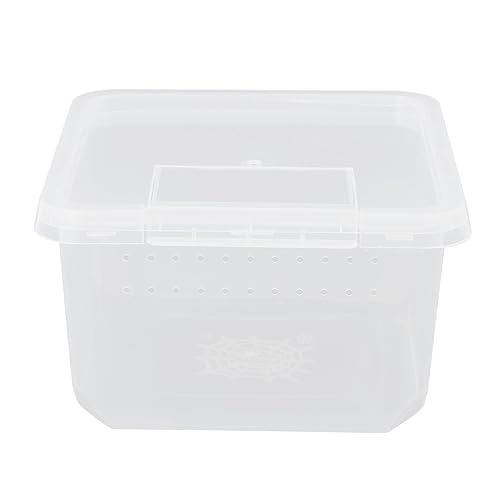 Toyvian Mini Insekten Trägerbox für Reptilien und Spinnen Transparente Zuchtbox mit Belüftungsöffnungen für Futter und Haltung von Insekten und Kleintieren Toyvian Mini Insekten Trägerbox für Reptilien und Spinnen Transparente Zuchtbox mit Belüftungsöffnungen für Futter und Haltung von Insekten und Kleintieren von Toyvian