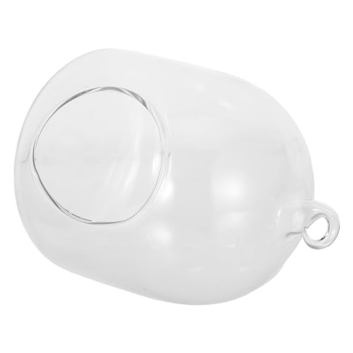 Toyvian Flaschen Terrarium Kleines Glasgefäß Mit Moos Mikrolandschaftsflasche Für Bürotisch Terrarienpflanzer Für Heimdekoration Terrarienhalter Für Kleine Terrarienpflanzen von Toyvian