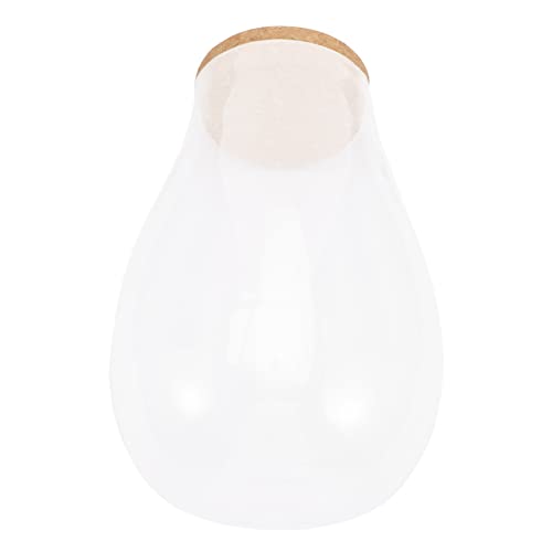 Toyvian Moos Öko Flasche Pflanzen Terrarium Glas Aquarium Topf Fisch Pflanzenvase Outdoor Kleines Landschaftsterrarium Mini Terrarium Glas Große Gartenpflanze Zimmerpflanze Toyvian Moos Öko Flasche Pflanzen Terrarium Glas Aquarium Topf Fisch Pflanzenvase Outdoor Kleines Landschaftsterrarium Mini Terrarium Glas Große Gartenpflanze Zimmerpflanze von Toyvian