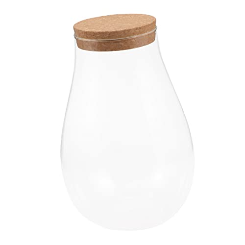 Toyvian Moos-Öko-Flasche zimmerpflanzen Sustainability glasflaschen nachhaltige dekoring Pflanzenglas-Terrarium Terrarienflasche Bryophyte ökologische Flasche Pflanzen Terrarium hölzern von Toyvian